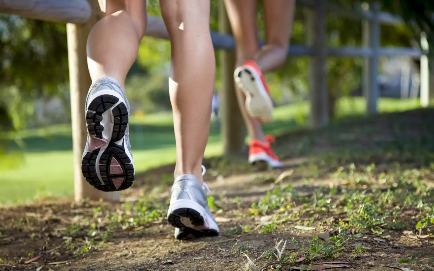 Best Neutral Running Shoes